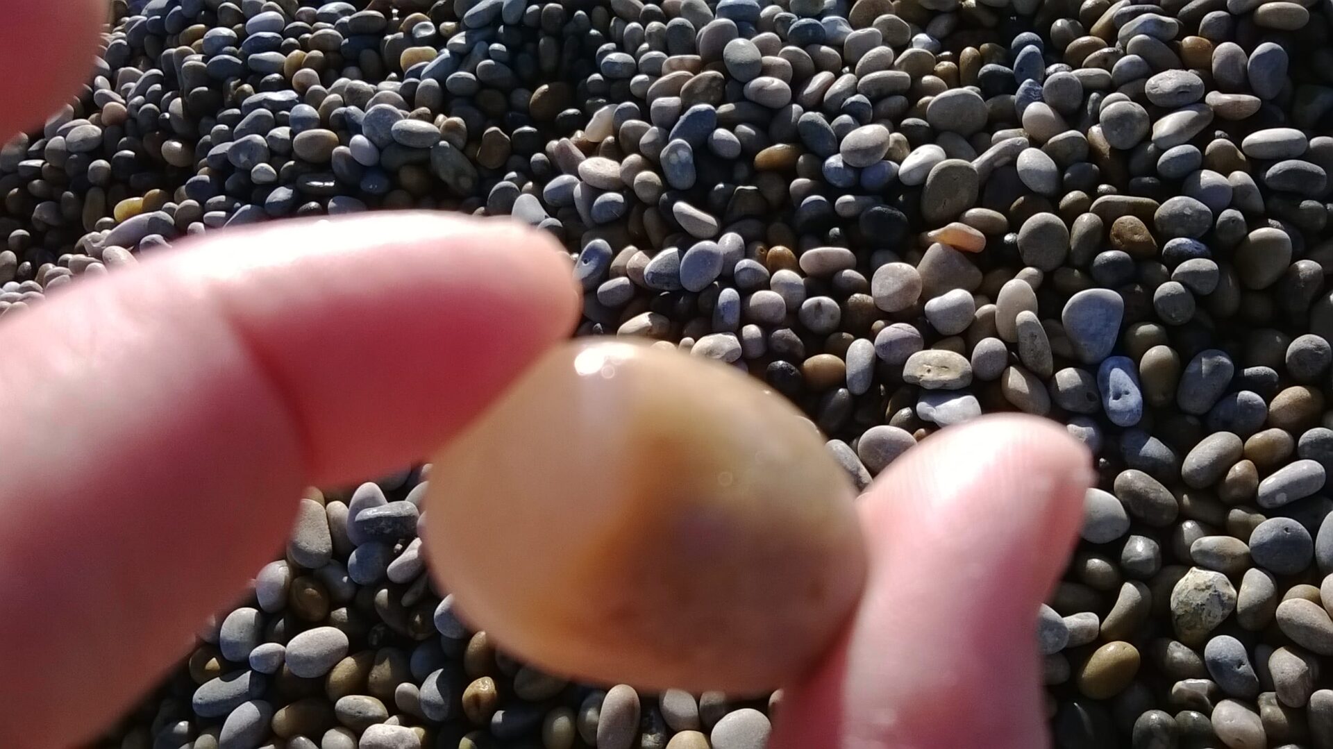A small beige pebble being gripped between thumb and forefinger in close up, slightly out of focus. Further below is a crisp view of the pebble beach. The featured image for Feeling Friable.