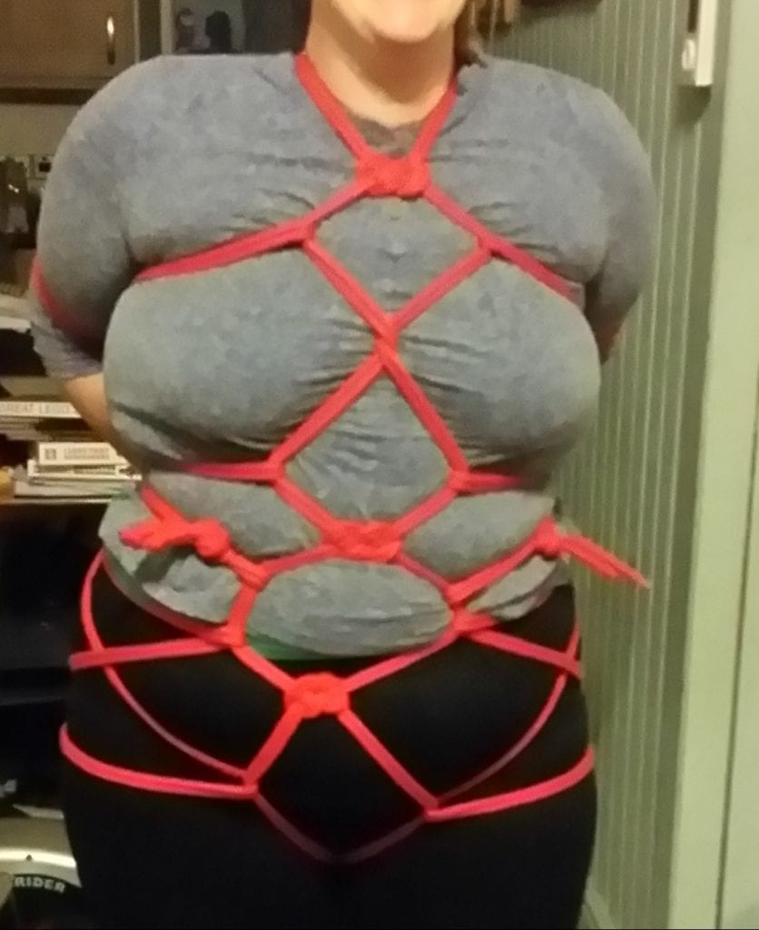 Clothed rope in the form of a turtle harness