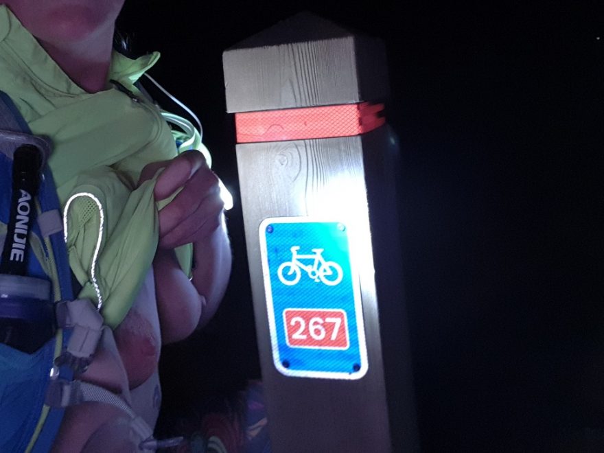 Breasts exposed at a cycle path by night