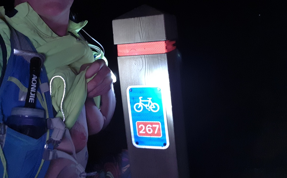 Breasts exposed at a cycle path by night