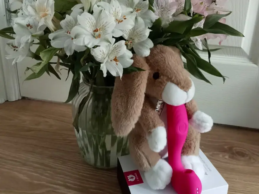 post orgasm rigor mortis header image shows the Angels wings toy propped up on a stuffed bunny rabbit, underneath a vase of flowers.