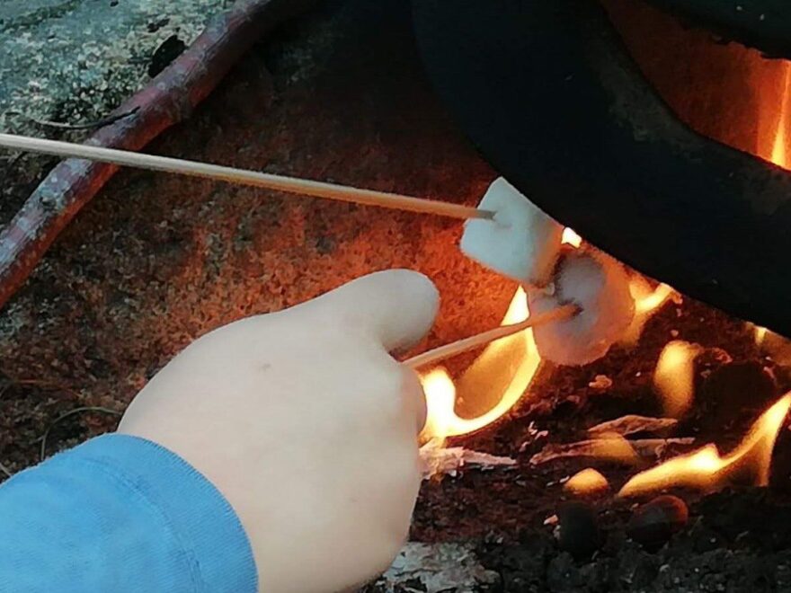 Family life with kinky friends in tow header shows childrens hands holding marshmallows on sticks over a fire.