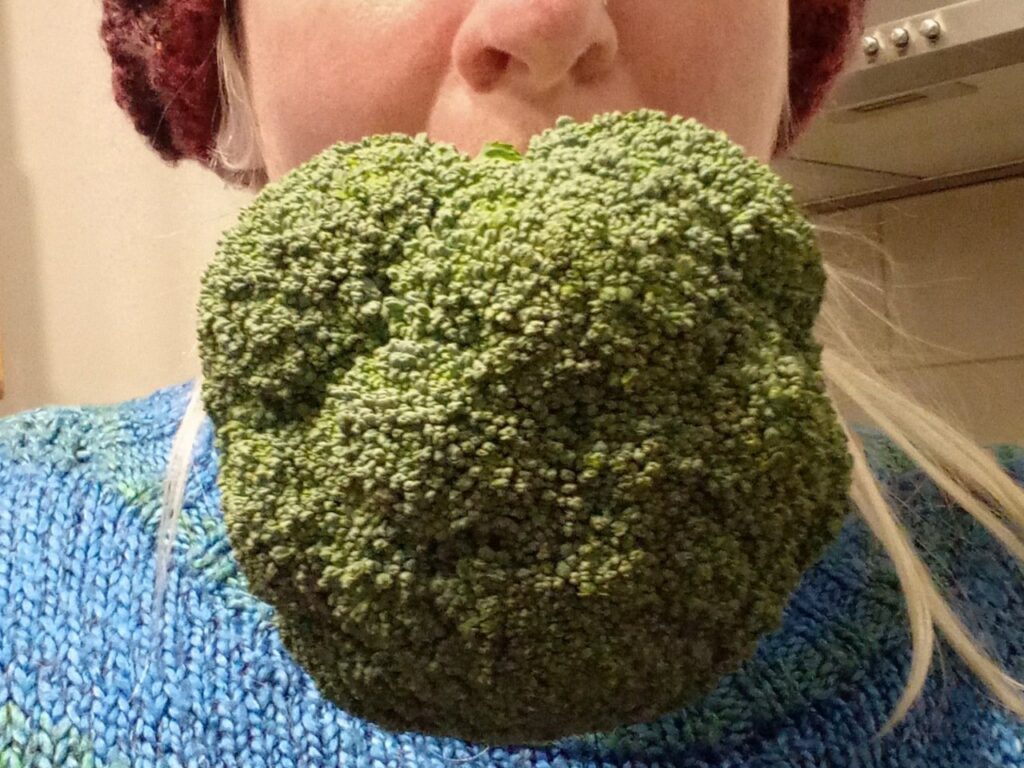 Broccoli being held in my mouth by the stalk.