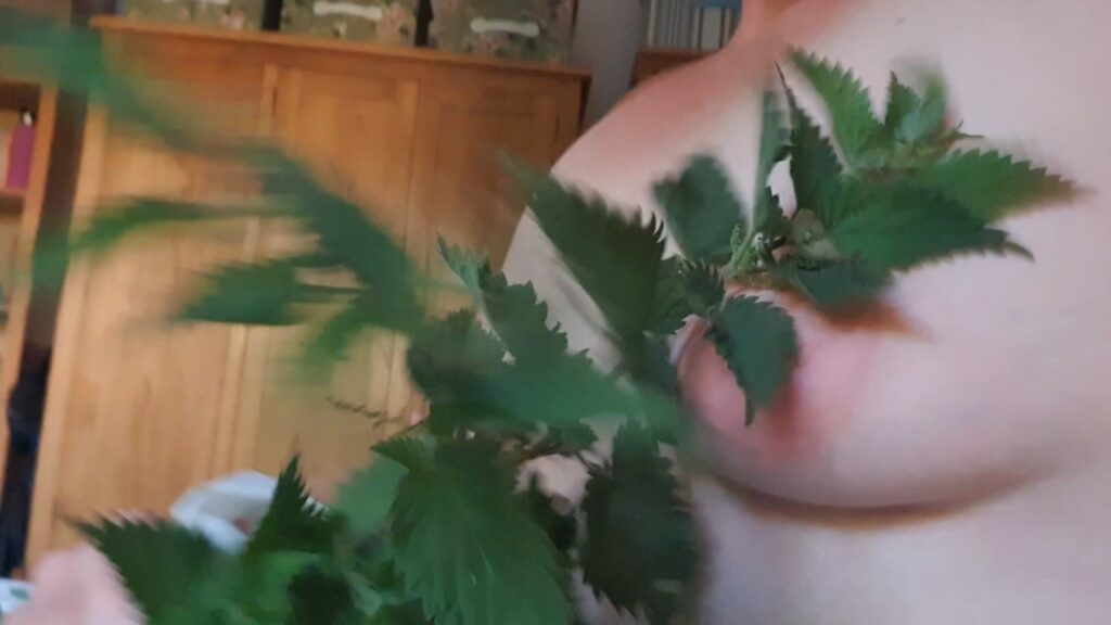 ten things I am not header shows me whipping my nipples with stinging nettles.