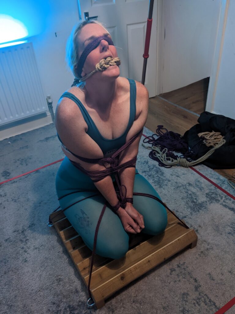 picture of me kneeling on an Ishidaki board. Wearing turquoise tights and bra, tied down with purple rope, and gagged with rope. 